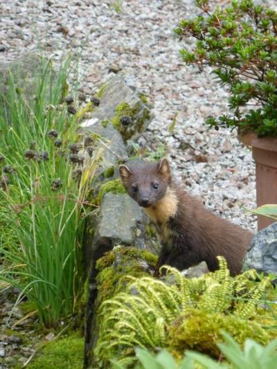 Kilmartin Dunchraigaig House B&B 외부 사진